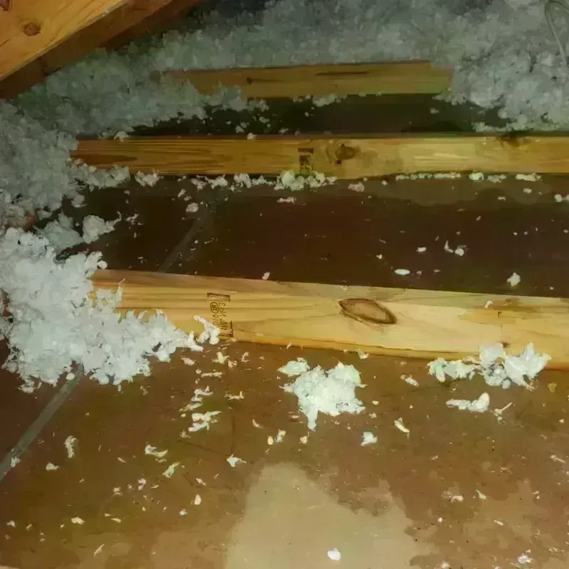 Attic Water Damage in Plains, TX