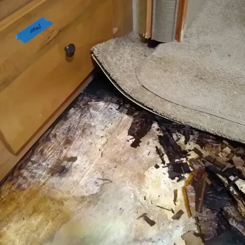 Wood Floor Water Damage in Plains, TX